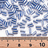 Plated Glass Bugle Beads SEED-S046-01A-26-4