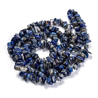 Natural Lapis Lazuli Beads Strands LS-G-F703-05B-1