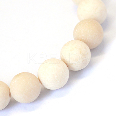 Frosted Natural Fossil Round Bead Strands G-E334-12mm-22-1
