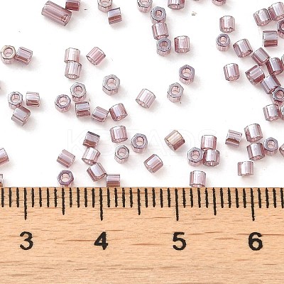 Transparent Colours Luster Glass Seed Beads SEED-S042-20B-03-1