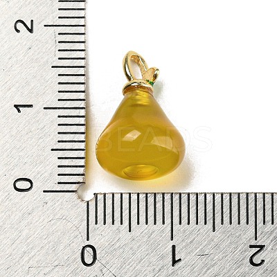 Natural Agate(Dyed & Heated) Pendants G-R436-01B-1