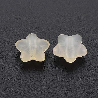 Transparent Acrylic Beads LS-MACR-S373-26E-11-1