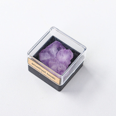Reiki Raw Natural Amethyst Tooth Nuggets Specime in Square Plastic Box DJEW-PW0016-01I-1