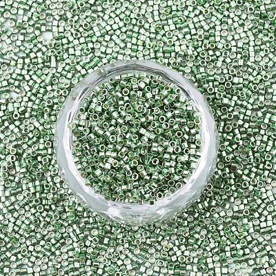 FGB 11/0 Grade A Glass Seed Beads X-SEED-S030-1217-1
