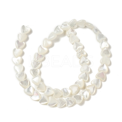 Natural White Shell Mother of Pearl Shell Beads BSHE-B005-10-1