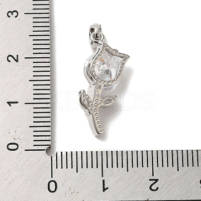Brass Micro Pave Cubic Zirconia Pendants ZIRC-P114-04P-1