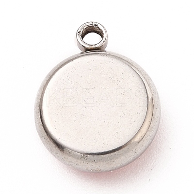 304 Stainless Steel Charms STAS-I165-04A-P-12-1