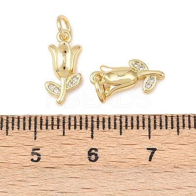 Brass Micro Pave Clear Cubic Zirconia Charms KK-G544-06G-01-1