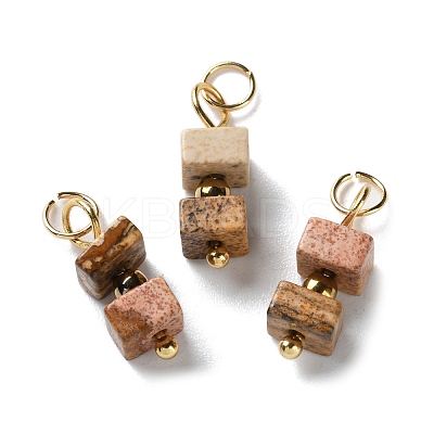 Natural Picture Jasper Cuboid Beaded Pendants STAS-C120-02G-04-1