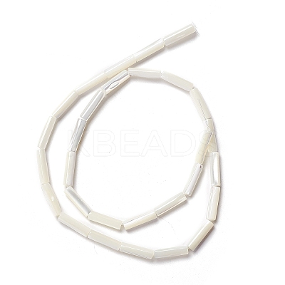 Natural Trochid Shell/Trochus Shell Beads X-SSHEL-O001-26B-1