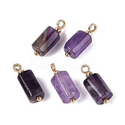 Natural Amethyst Pendants GG-N004-01G-04-1