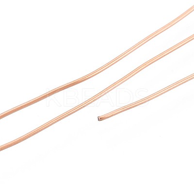 10M 304 Stainless Steel Wire TWIR-N005-0.7mm-RG-1