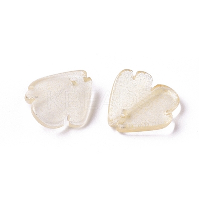 Transparent Glass Charms GLAA-H016-03C-12-1