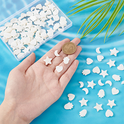 4 Strands 4 Styles Natural Freshwater Shell Beads Strands SHEL-BC0001-032-1