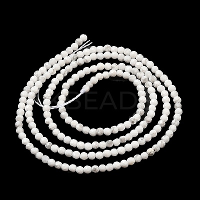 Natural Howlite Beads Strands G-E608-A01-A-1