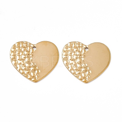 Ion Plating(IP) 304 Stainless Steel Pendants STAS-B031-17G-1