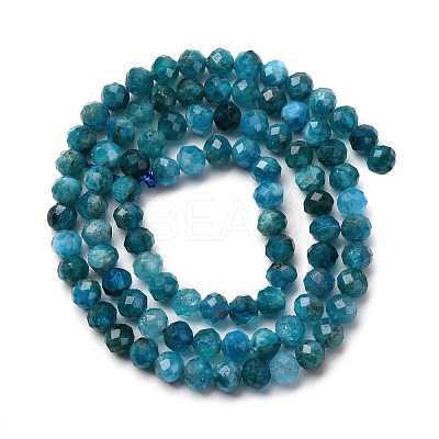 Natural Apatite Beads Strands G-A276-C08-4mm-03-1