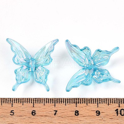 Transparent Acrylic Beads OACR-N137-74D-1