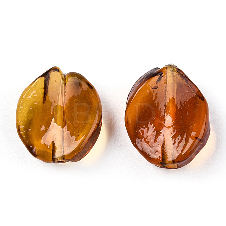 Transparent Handmade Lampwork Beads LAMP-T011-17-B02-1