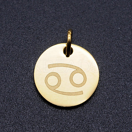 201 Stainless Steel Charms STAS-T049-T644-4G-1