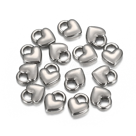 Tarnish Resistant 304 Stainless Steel Charms LS-STAS-I157-04P-1