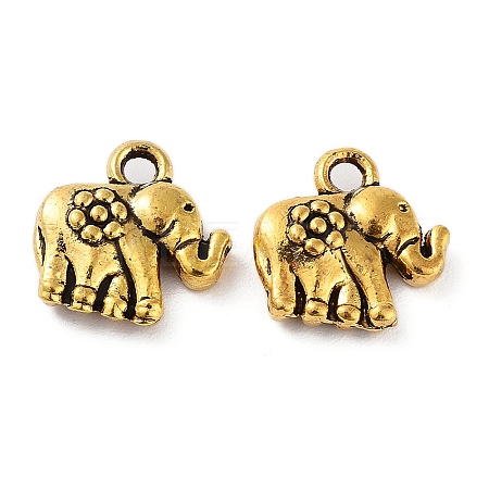 Tibetan Style Alloy Charms FIND-Q094-01AG-1