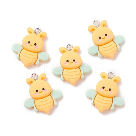 Opaque Resin Pendants RESI-F030-15-1