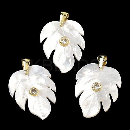 Natural White Shell Carved Pendants SHEL-B180-01G-1