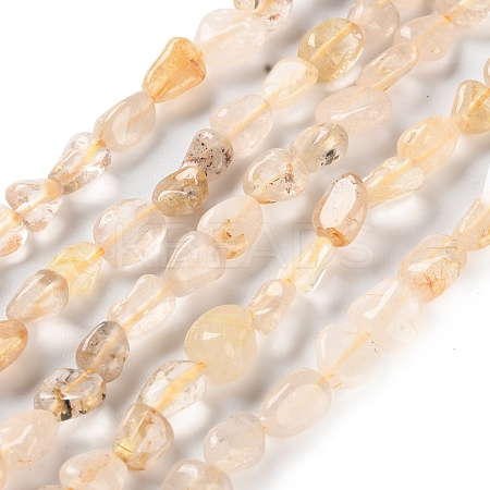 Natural Gold Rutilated Quartz Beads Strands G-P497-01C-33-1