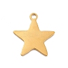 Ion Plating(IP) 304 Stainless Steel Pendants STAS-F282-05G-2