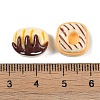 Opaque Resin Imitaion Food Decoden Cabochons CRES-M036-02-3