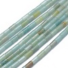 Natural Amazonite Beads Strands G-F631-B12-1