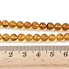 Natural Amber Beads Strands G-L095-B01-6mm-02-5