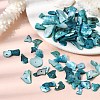 Dyed Natural Mother of Pearl Shell Nuggets Chips Beads BSHE-O007-10A-2