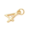 Brass Micro Pave Cubic Zirconia Pendants KK-D019-28G-04-2