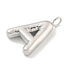 Non-Tarnish 304 Stainless Steel Pendants STAS-C102-15P-A-2