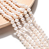 Natural Cultured Freshwater Pearl Beads Strands PEAR-N026-02-1