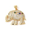 Brass Micro Pave Colorful Cubic Zirconia Pendants ZIRC-I071-01G-01-1