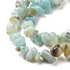 Natural Flower Amazonite Chips Beads Strands X-G-M205-12B-4