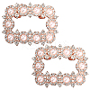 Alloy Rhinestone Shoe Decoration FIND-GF0006-01B-RG-1
