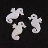 Natural White Shell Mother of Pearl Shell Pendants SSHEL-G014-70-1