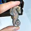 Natural Labradorite Carved Healing Sea Horse Figurines PW-WG19543-01-2