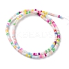 Handmade Lampwork Beads Strands LAMP-L078-008F-2