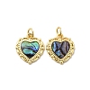 Epoxy Resin & Natural Paua Shell Heart Charms KK-K384-19A-G-1
