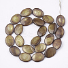 Freshwater Shell Beads Strands SHEL-S274-37B-2