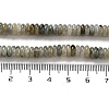 Natural Labradorite Beads Strands G-G084-A03-01-5