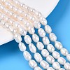 Natural Cultured Freshwater Pearl Beads Strands PEAR-T006-19B-1