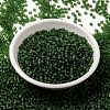 MIYUKI Round Rocailles Beads SEED-JP0009-RR0158F-2