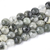Natural Green Rutilated Quartz Beads Strands G-T108-08-1