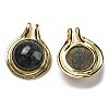 Natural Labradorite Pendants G-M405-06G-1